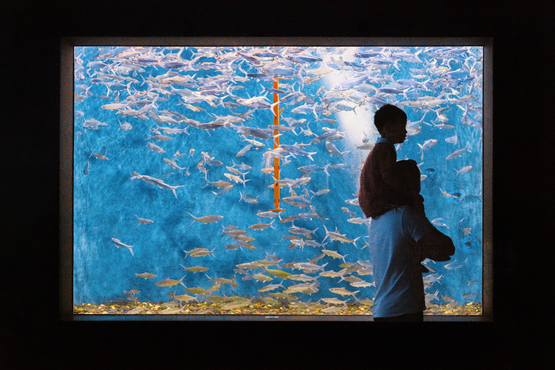 A child on a man&rsquo;s shoulders enjoying an aquarium filled with colorful fish.