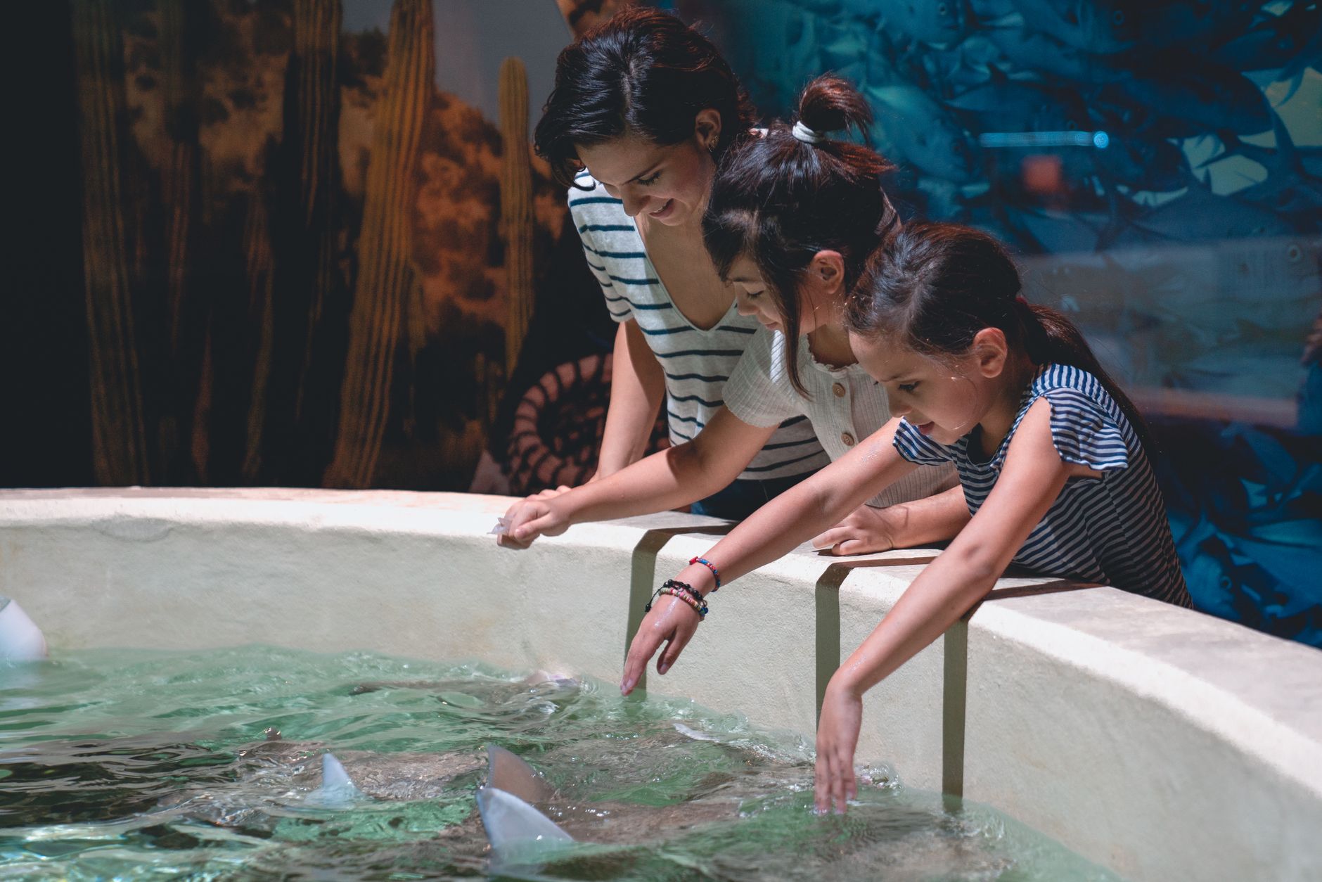 Mother and daughters having fun at an interactive aquarium exhibit with stingrays.