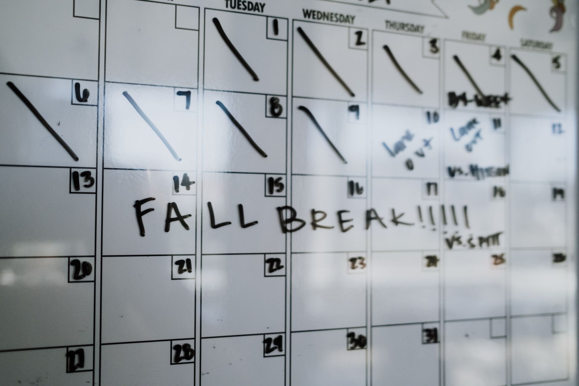 Close-up of a whiteboard calendar with &lsquo;FALL BREAK&rsquo; written in bold letters.