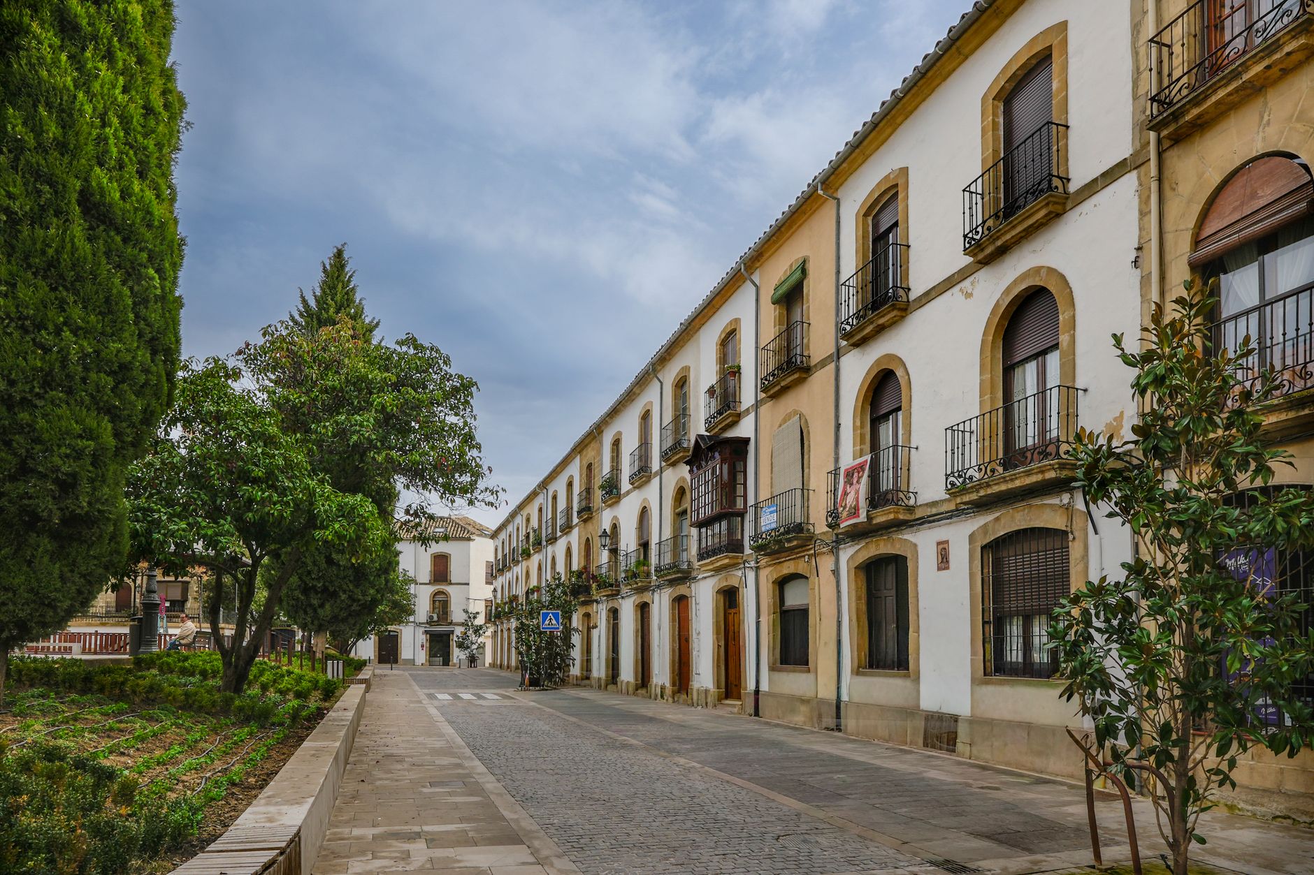 Historic architecture and lush greenery line a peaceful street in Úbeda, Spain.