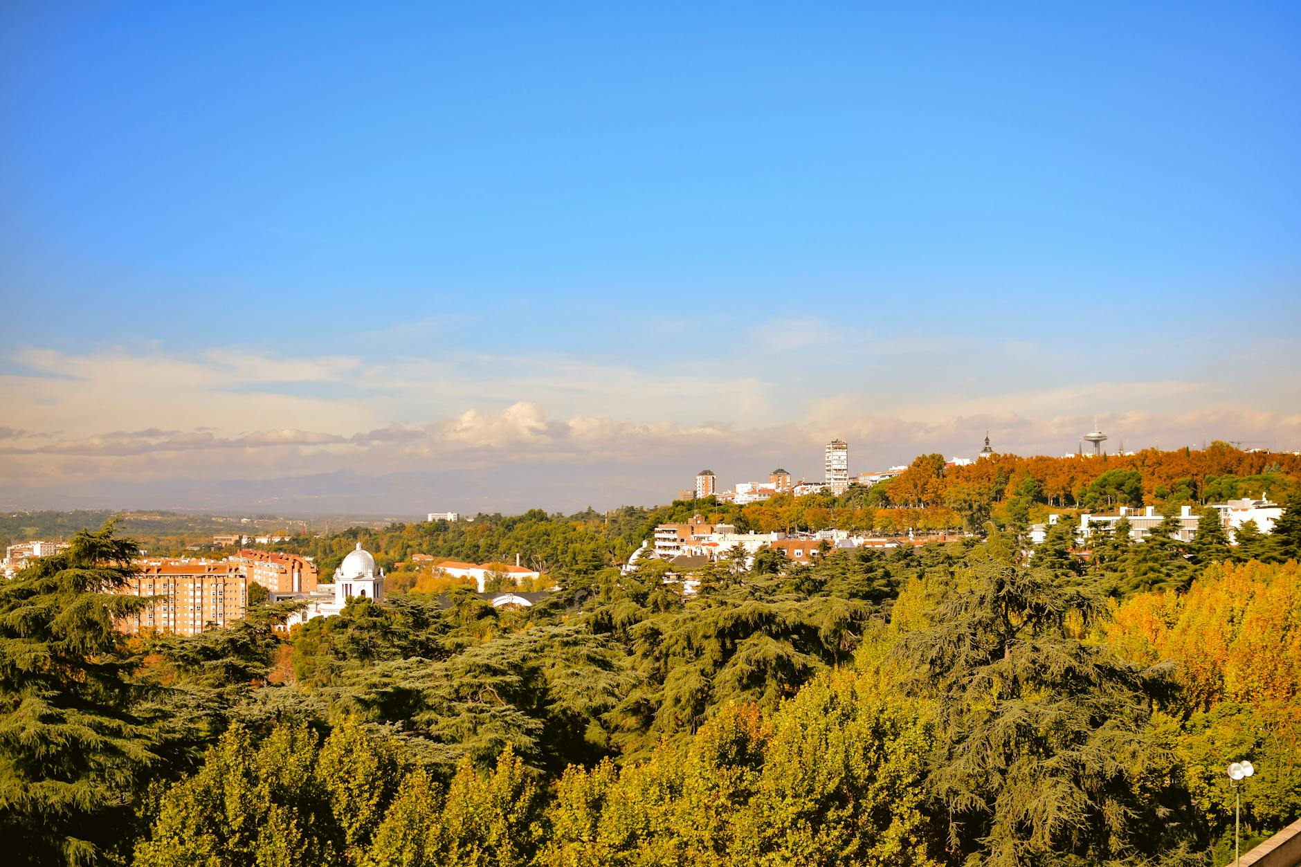 Beautiful urban landscape view of Madrid with lush greenery and clear blue sky.