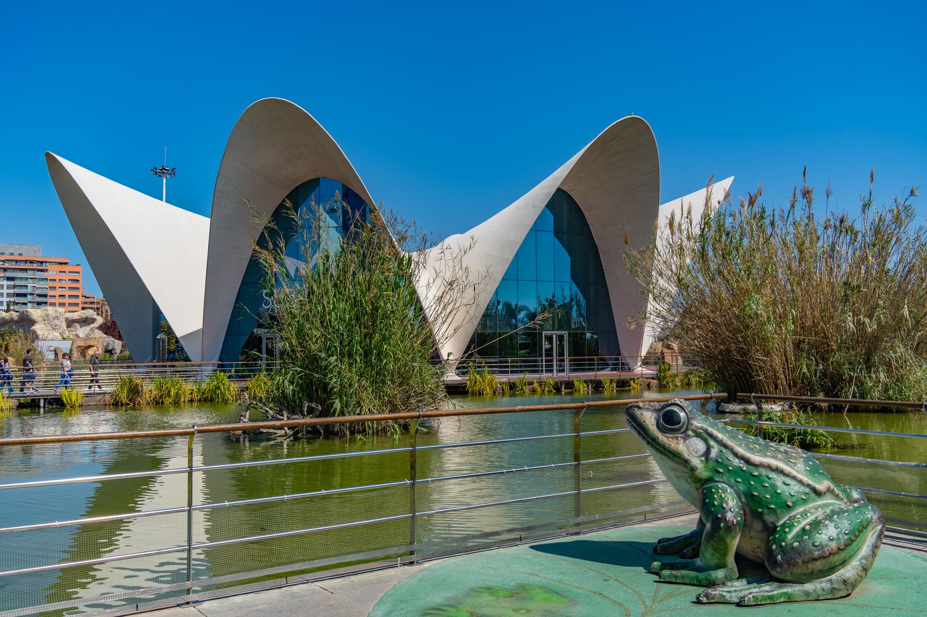 Sculptural frog near the futuristic building at Oceanogràfic, Valencia, Spain.