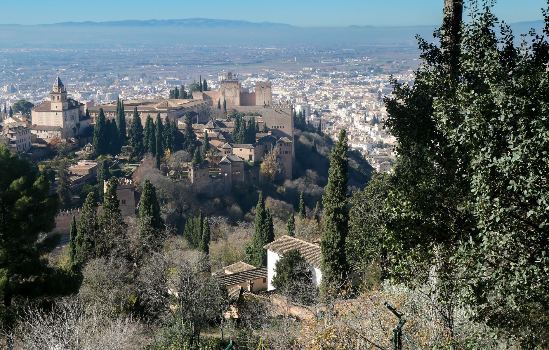 Stunning view of the Alhambra with Granada cityscape in Spain, surrounded by lush cypress trees.